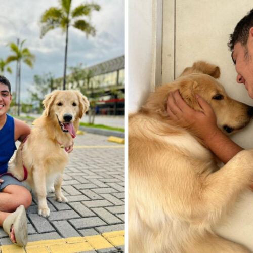 Projeto de lei nacional quer regulamentar presença de cães de suporte emocional em condomínios após caso no ES