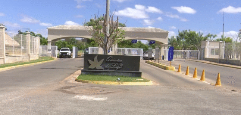 Retirada de 60 gatos em condomínio de RN divide moradores e caso vai parar na Justiça